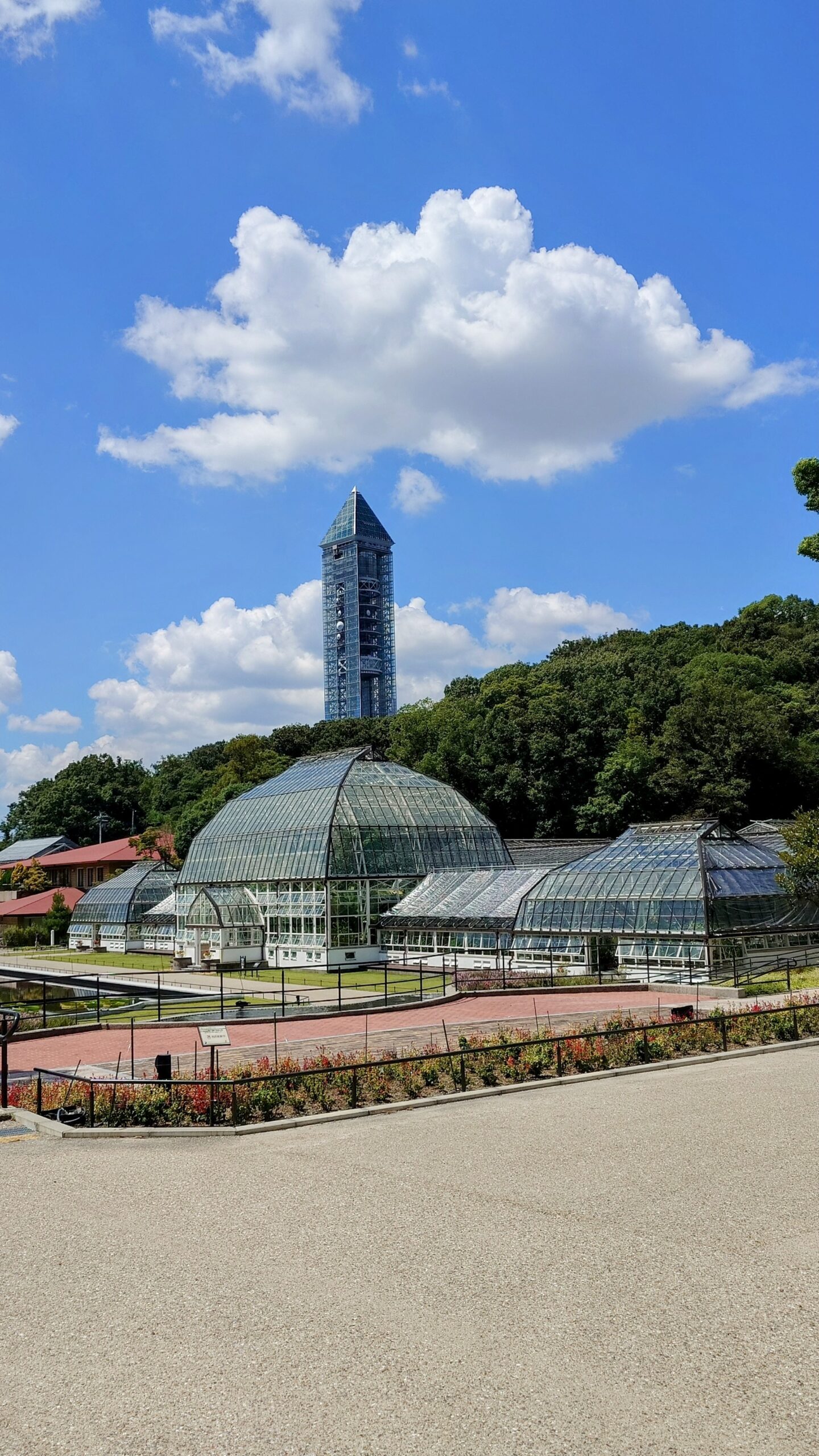 真夏の都会オアシス